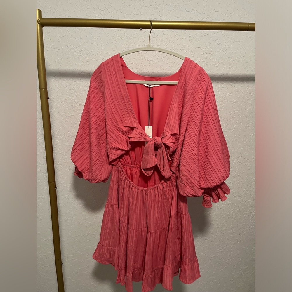 NWT Mustard Seed Pink Pleated Dress with Balloon Sleeves